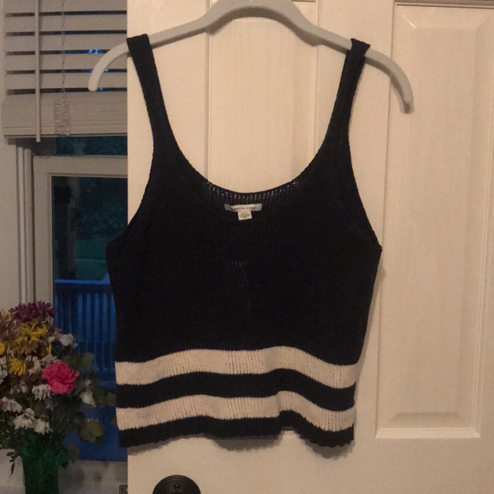 American Eagle sweater crop top